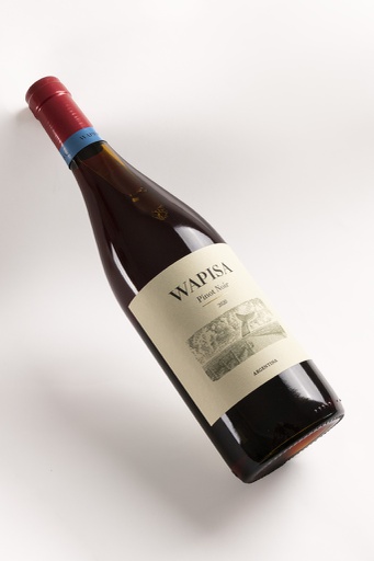 Wapisa Pinot Patagonico